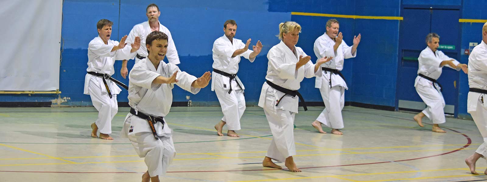 Sensei Steven Connell performing kata Gojushiho Sho