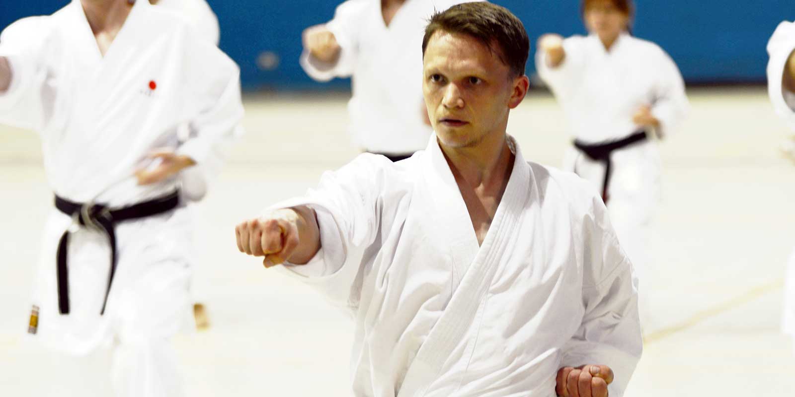 Gyaku zuki - basics training at one of the BKA's regular seminars